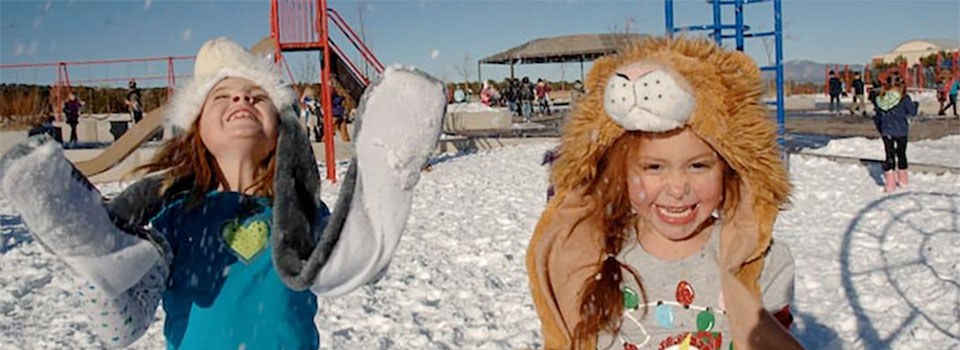 Children Playing in Snow