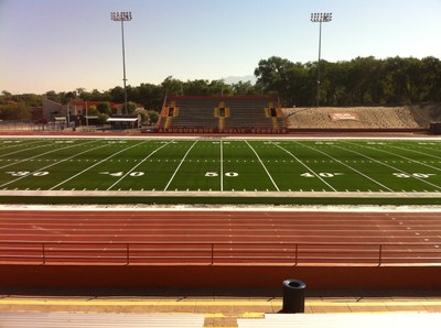 Milne Turf Complete
