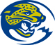 aha mascot