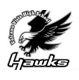 VVHS