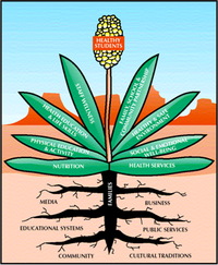 Wellness Yucca
