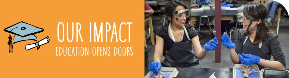 Education Open Doors