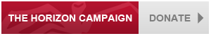 Horizon Campaign button