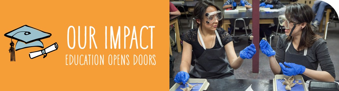 Education Open Doors