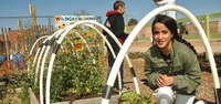 students working in a school garden