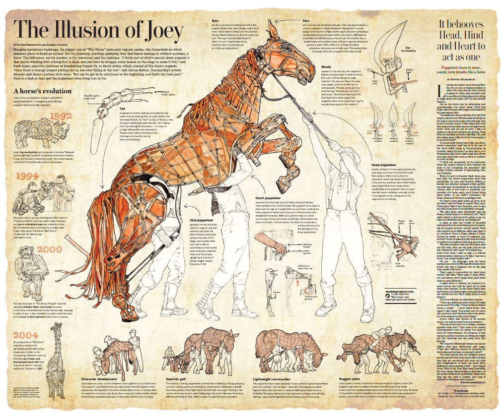The Illusion of Joey