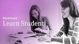 Blackboard Learn Student Videos