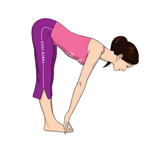 Yoga picture from ForteYoga.com
