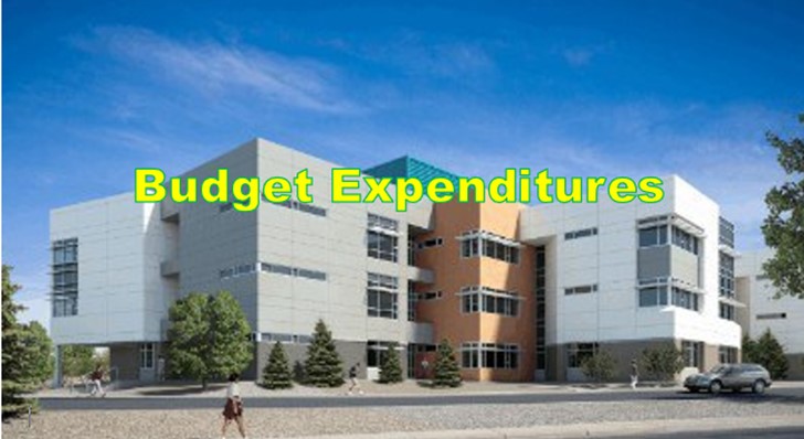 Budget Expenditures DNHS