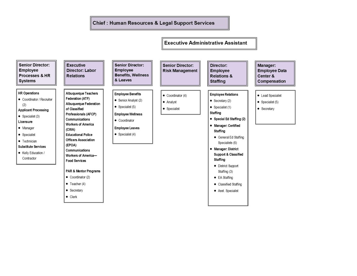 HR Org Chart Graphic