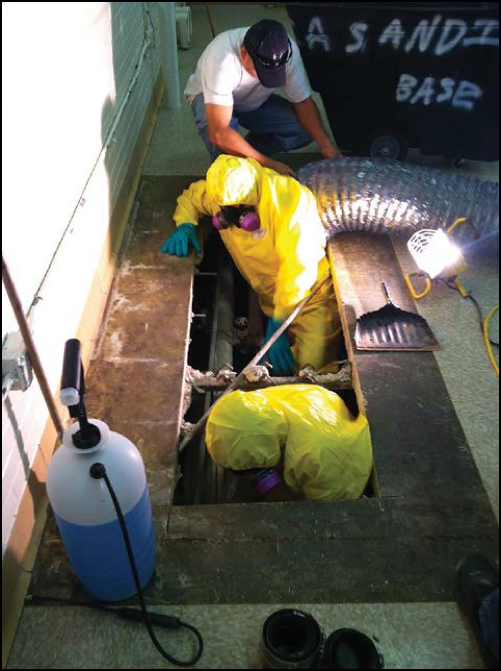 Asbestos abatement
