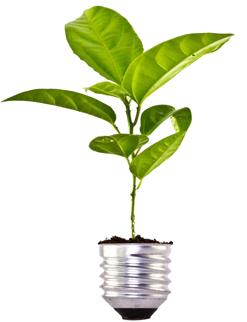 Energy Conservation 