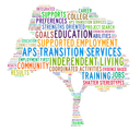 APS Transition Services logo