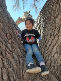 Student in tree