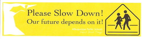 Bumper sticker that says, Please slow down. Our future depends on it.