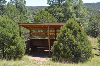 Bird blind structure with benches amongst trees.