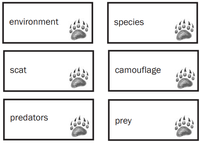 Cards with one word on each- environment, species, scat, camouflage, predators, prey. All have bear paw logo. Cards with one word on each- environment, species, scat, camouflage, predators, prey. All have bear paw logo.