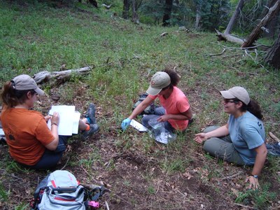 We are a member of the Sandia Mountain Bear Collaborative and have assisted with collecting bear hair and scat for scientific research in the Sandia mountains.