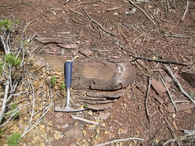 Moenkopi Sandstone Reddish sandstone rock from the Moenkopi Formation.