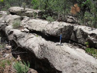 Rocky wall of limestone layer from the San Andres Formation, above and below Glorieta sandstones, showing the history of desert- sea- desert in the ancient past.