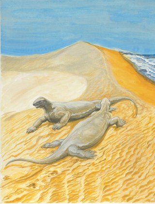 Artist's representation of a yellow sand dune field next to the ocean with two giant lizard-like reptiles on the sand.