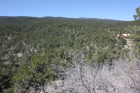 View of mountain with forest and rock layers from the Stop 8 interpretation trail overlook.