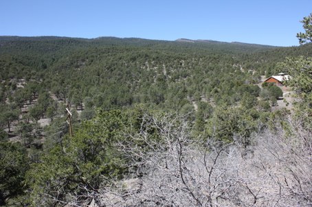 Stop 8 Overlook View of mountain with forest and rock layers from the Stop 8 interpretation trail overlook.