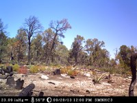 Prescribed Burn Study Site September 28, 2013