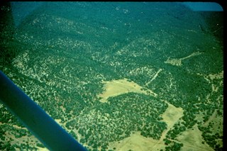 SMNHC site undeveloped: 1967 (Jack Meloy)