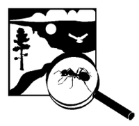 Magnifying glass over ant, hawk flying, scenery of mountains, river, sun, and tall tree Magnifying glass over ant, hawk flying, scenery of mountains, river, sun, and tall tree