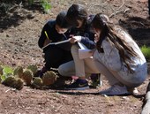 Students doing activity writing in notebooks next to prickly pear cactus during Ecology Field Program.