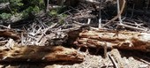 Large log decomposing