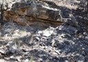 Limestone slab and smaller rocks