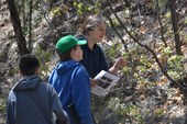 Students doing tree key activity during their Ecology Field program at the SMNHC.