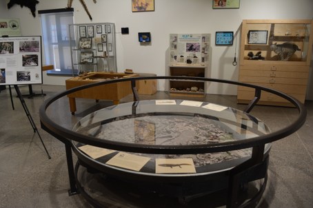 Large round display with fossil in middle, and other displays and signs behind