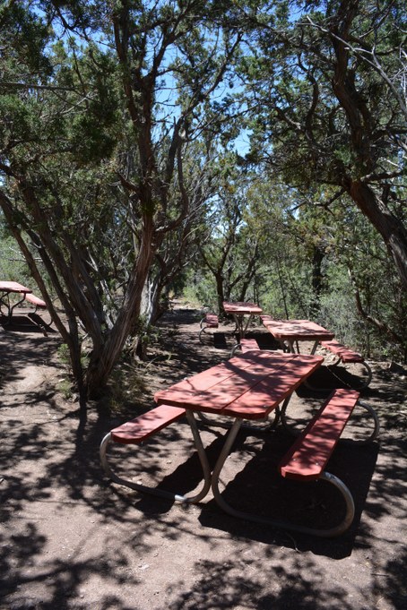 Red picnic tables among trees