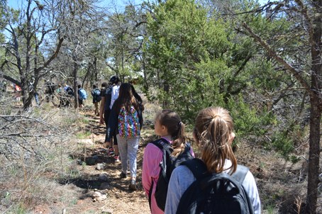 Students hiking down trail with live and dead trees around