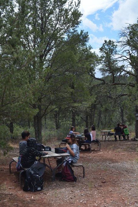 Students sitting at picnic tables with trees around
