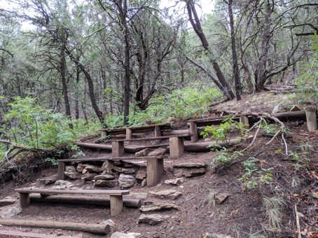 Wood benches on hillside with trees and bushes around