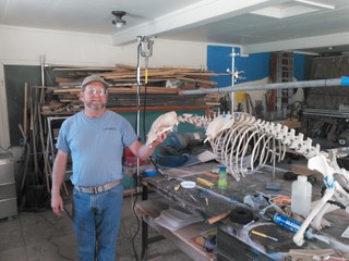Volunteer Marty with a complete bear skeleton he reassembled.