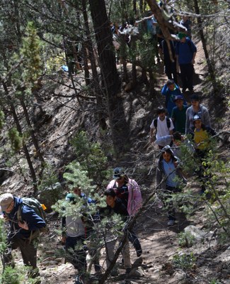 Class of students hiking through the forest Class hiking down a trail seen from above, led by Vince.