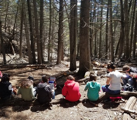 Students during their Ecology Field Program in the fir forest doing Decomposition in the Forest activity.