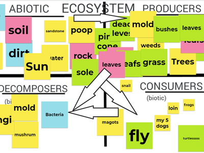 Virtual Jamboard of the components of an ecosystem.