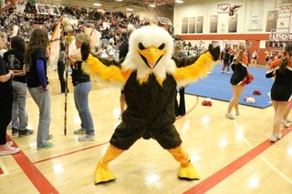 Eldorado HS school mascot