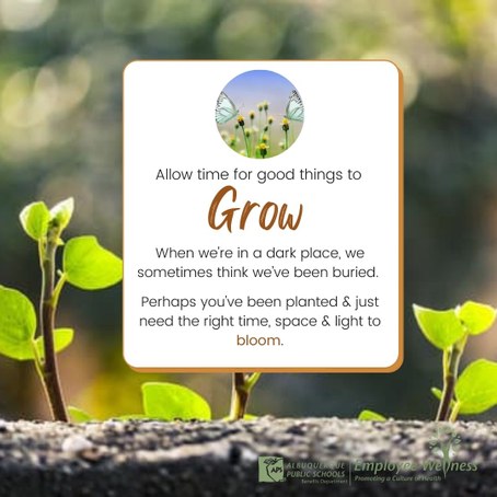 When we remove emotional clutter we create space to plant seeds to allow good things to grow. 
