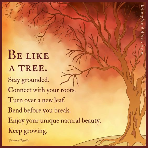 Picture of a tree with the words: stay grounded,connect with your roots, nurture new growth, bend before you break, enjoy your unique natural beauty and keep growing