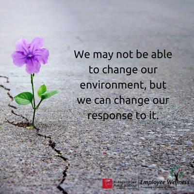 we may not be able to change what happens around us but we can change our response to it