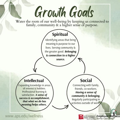 The connectedness of spiritual, social/emotional and intellectual growth goals and our well-being. 