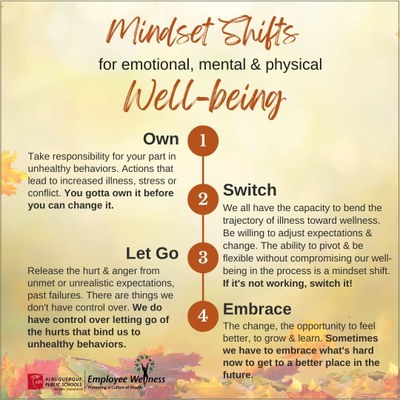 Mindset shifts for emotional, mental and physical well-being. Own, switch, let go and embrace.