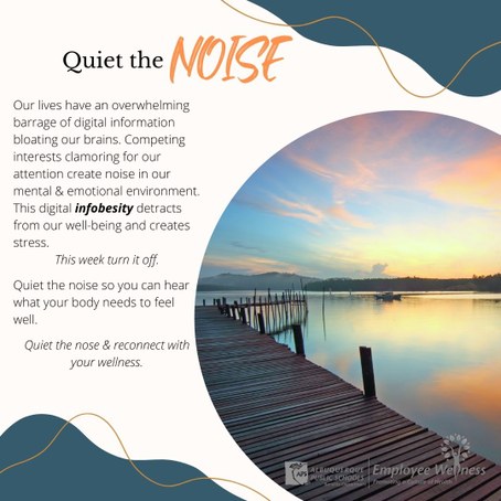 picture of a beautiful sunset and the words quiet the noise. Our lives have an overwhelming barrage of digital information bloating our brains. Competing interests clamoring for our attention create noise in our mental & emotional environment. This digital infobesity detracts from our well-being and creates stress.  This week turn it off. Quiet the noise so you can hear what your body needs to feel well.   Quiet the nose & reconnect with your wellness.